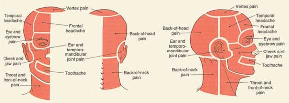 7-causes-of-right-neck-and-ear-pain-mild-to-severe