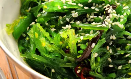 eating seaweed salad
