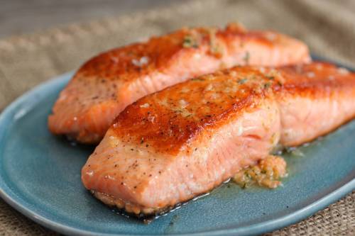 salmon rich in protein