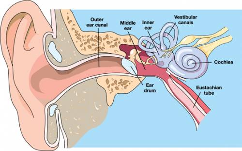 what causes a clogged ear