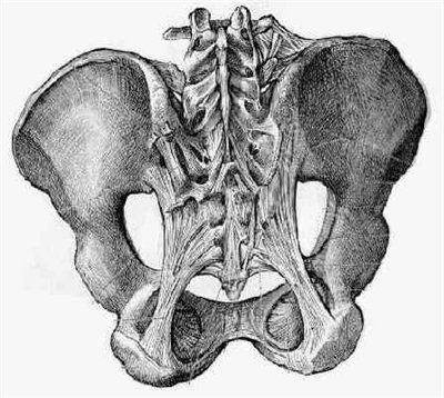 iliac crest syndrome/back pain