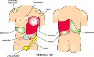 pain under left rib cage after exercise | Health Recovery Tips