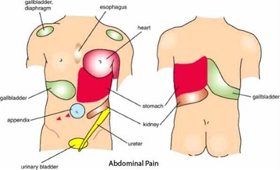 pain under left rib cage after exercise