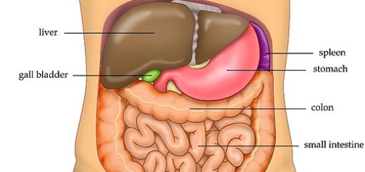 stomach sore to touch around belly button