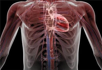 chest pain on the left side and left arm