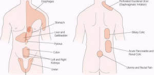 pain in the lower right side under rib cage | Health ...