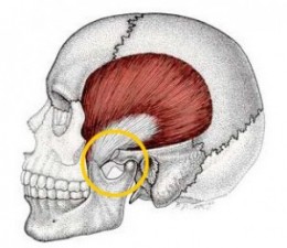 jaw hurts on right side when i bite down