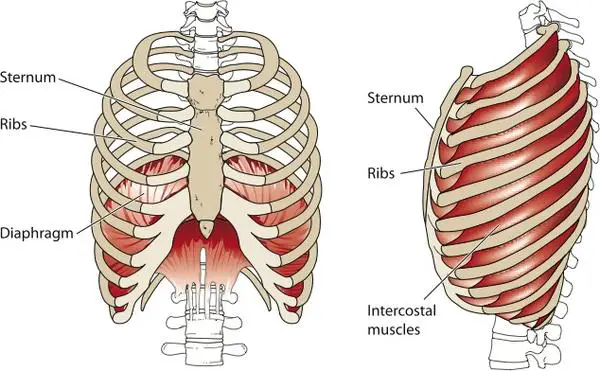 sternum pain burning sensation