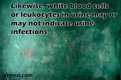 white blood cells in urine but no infection causes