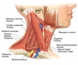 left side neck pain anxiety