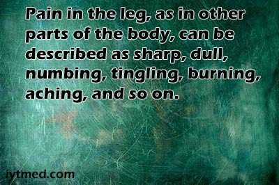 burning pain in left leg at night