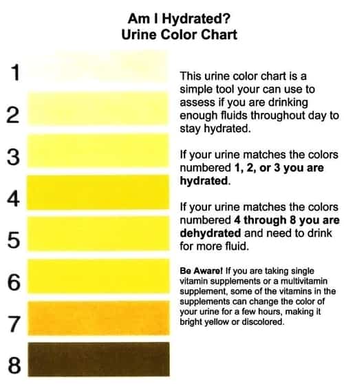Urine color vs. hydration