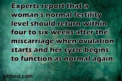 fertility after miscarriage higher