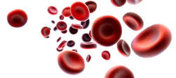 high lymphocyte count in blood test