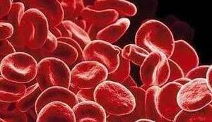 how to increase red blood cells naturally