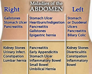 quadrant abdomen iytmed stomach organs quadrants hernia epigastric