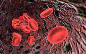 what are low hemoglobin levels