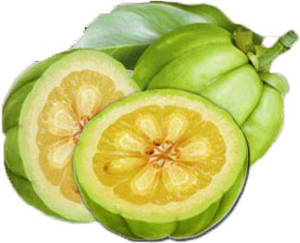 Garcinia cambogia fruit: how it looks like