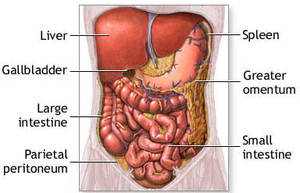 pain on left hand side of stomach and back