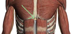 Causes Of Swollen Xiphoid Process