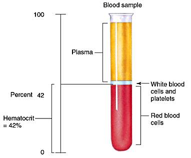 low hematocrit and hemoglobin during chemo