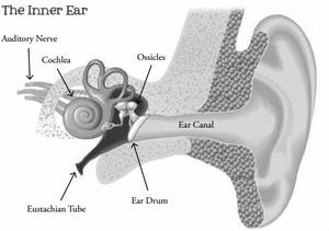 sharp pain in ear drum
