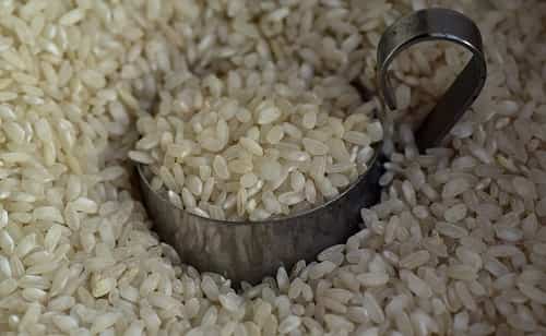 Rice with low fiber