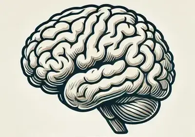 Brain