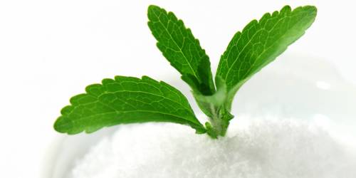 Benefits and side effects of stevia