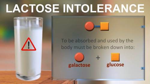 severe lactose intolerance diet