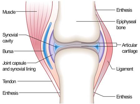 how to remove fluid in the knee