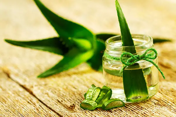 Aloe vera leaf juice pros