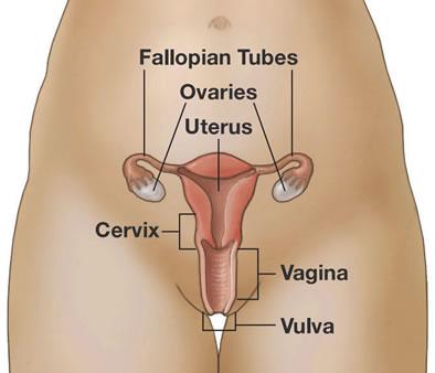 What to do if my uretus bleeding?