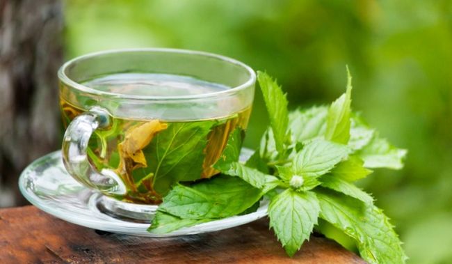 Green tea to prevent vomiting during period