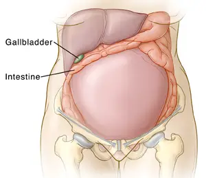 shooting pain during early pregnancy