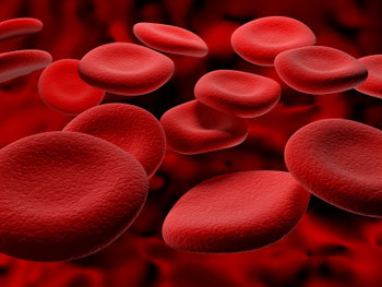 Red Blood Cells