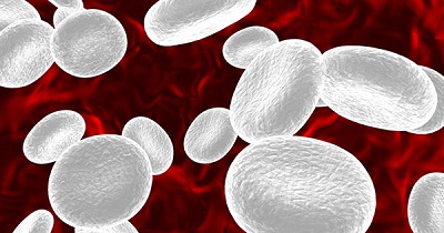Low White Blood Cell Counts