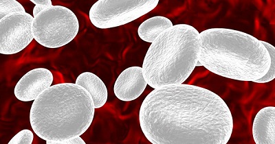 Treatments for Low White Blood Cells Levels | IYTmed.com