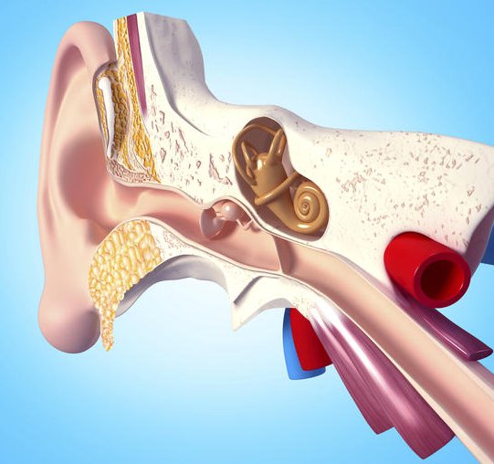 What Causes Fullness in Ears?