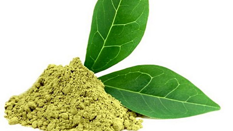 green tea fat burner side effects weight loss