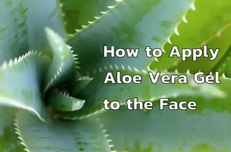 How to Apply Aloe Vera Gel to the Face