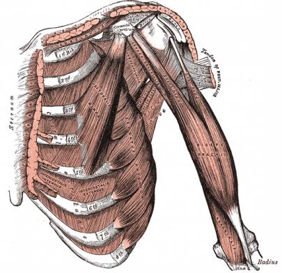 What are the treatment options for rib cage pain?