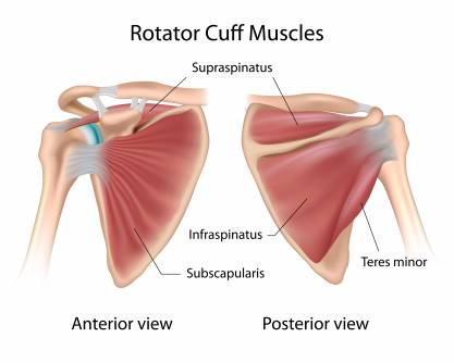 how to strengthen rotator cuff
