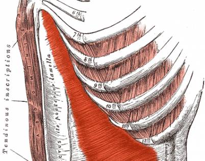 rib pain after c section