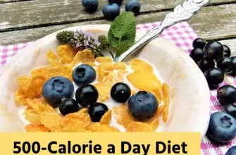 500-Calorie a Day Diet