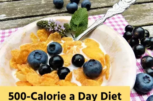 500-Calorie a Day Diet