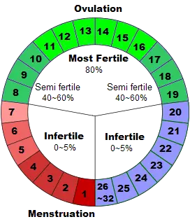 time of the month when a woman is least fertile