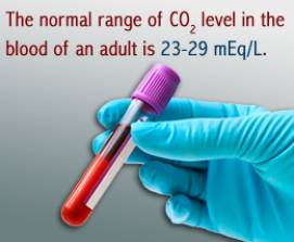 normal carbon dioxide levels