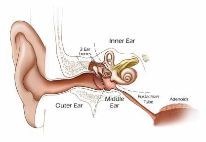 Causes of Earaches