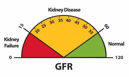 GFR; Estimated GFR; eGFR
